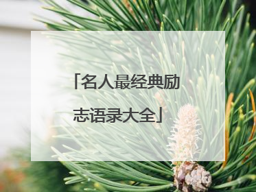 名人最经典励志语录大全