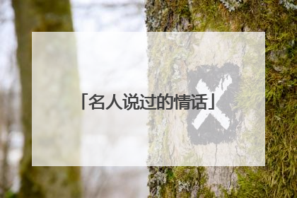 名人说过的情话