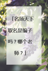 名扬天下取名是骗子吗?哪个老师?