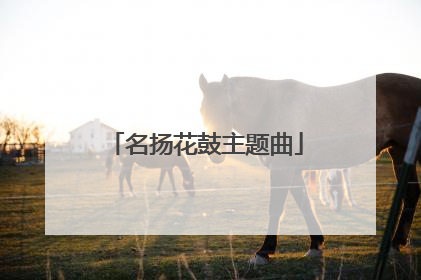 名扬花鼓主题曲
