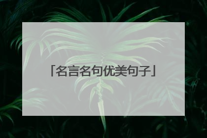名言名句优美句子
