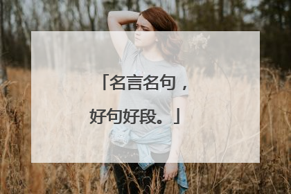 名言名句,好句好段。