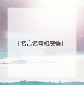 名言名句和感悟