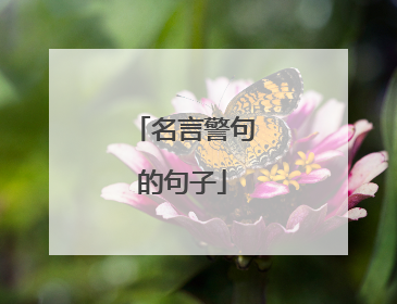 名言警句的句子