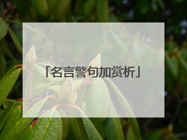 名言警句加赏析