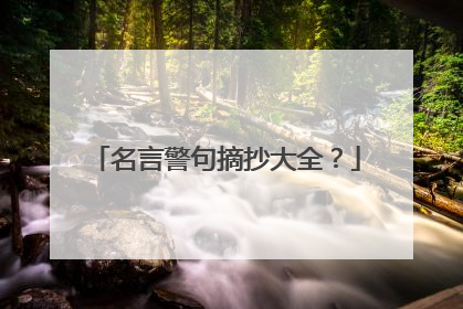 名言警句摘抄大全?