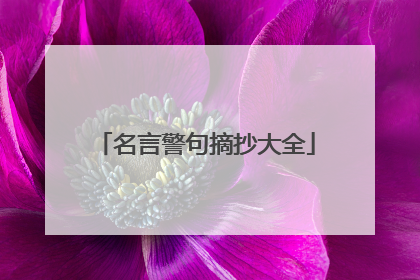 名言警句摘抄大全