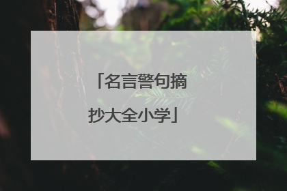 名言警句摘抄大全小学