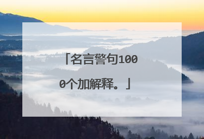 名言警句1000个加解释。