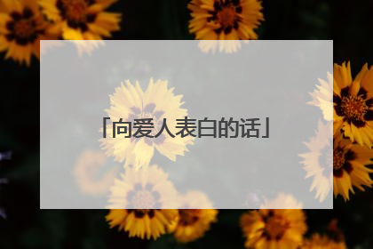 向爱人表白的话