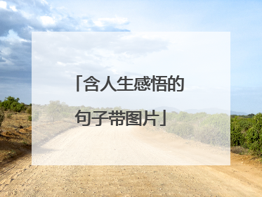 含人生感悟的句子带图片