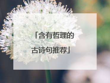 含有哲理的古诗句推荐