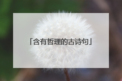 含有哲理的古诗句