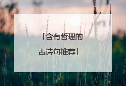 含有哲理的古诗句推荐