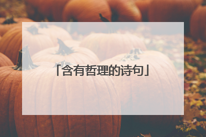 含有哲理的诗句