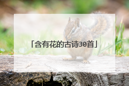 含有花的古诗30首