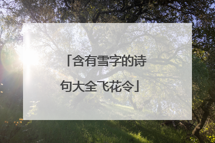 含有雪字的诗句大全飞花令