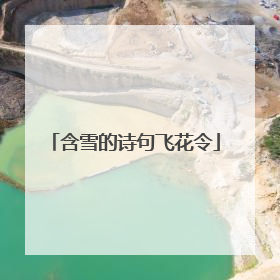 含雪的诗句飞花令