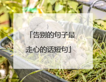 告别的句子最走心的话短句
