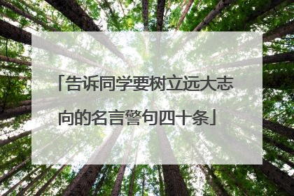告诉同学要树立远大志向的名言警句四十条