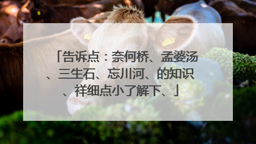 告诉点:奈何桥、孟婆汤、三生石、忘川河、的知识、祥细点小了解下、