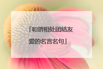 和谐相处团结友爱的名言名句