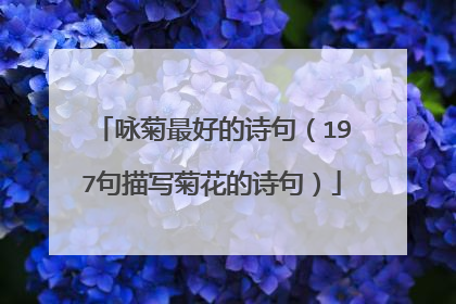 咏菊最好的诗句(197句描写菊花的诗句)