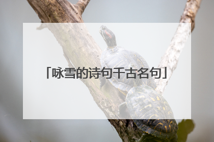 咏雪的诗句千古名句