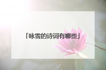 咏雪的诗词有哪些