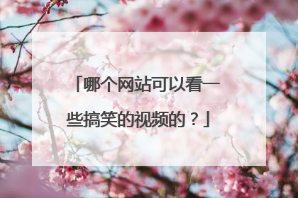 哪个网站可以看一些搞笑的视频的?