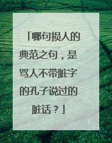 哪句损人的典范之句,是骂人不带脏字的孔子说过的脏话?