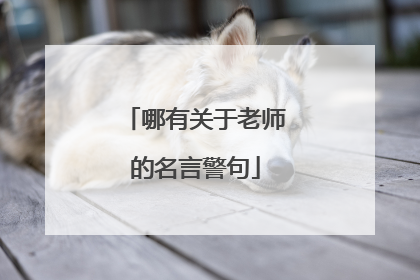 哪有关于老师的名言警句