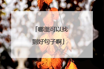 哪里可以找到好句子啊