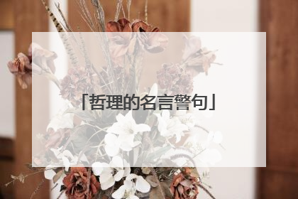 哲理的名言警句