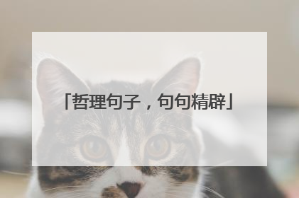 哲理句子,句句精辟
