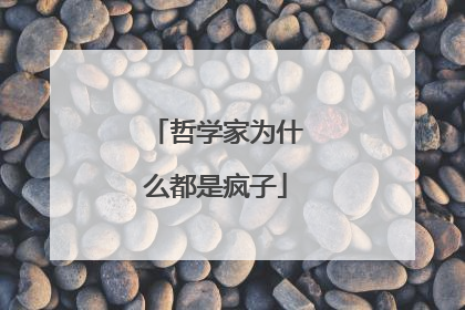 哲学家为什么都是疯子