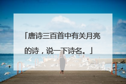 唐诗三百首中有关月亮的诗，说一下诗名。