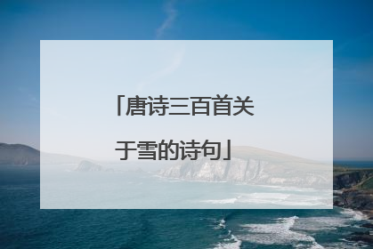 唐诗三百首关于雪的诗句