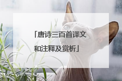 唐诗三百首译文和注释及赏析