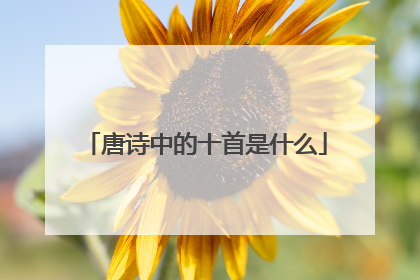 唐诗中的十首是什么