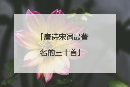 唐诗宋词最著名的三十首