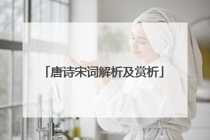 唐诗宋词解析及赏析