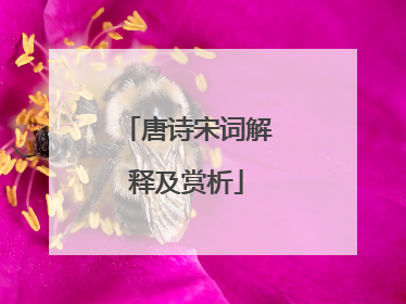 唐诗宋词解释及赏析