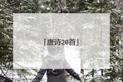唐诗20首
