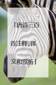 唐诗三百首注释,译文和赏析