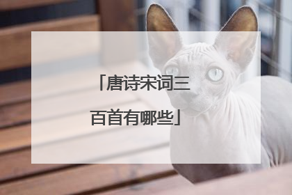 唐诗宋词三百首有哪些