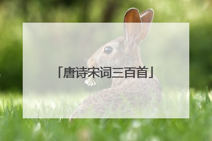 唐诗宋词三百首