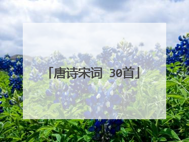 唐诗宋词 30首