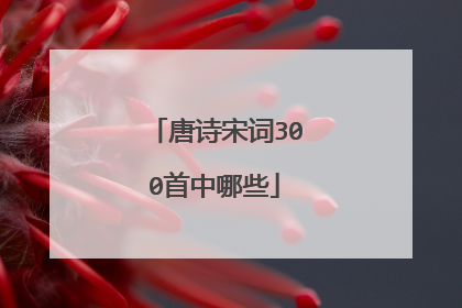 唐诗宋词300首中哪些