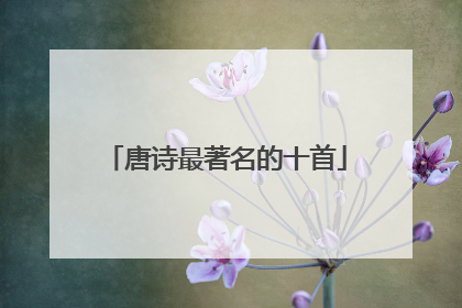 唐诗最著名的十首